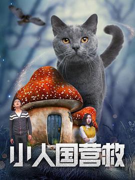 久久精品在现线观看免费15