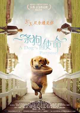 亚洲依人