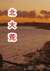 综合国产