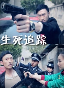 男人叉女人的视频