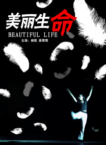 1000摄影艺术