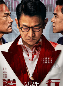 91免费公开视频