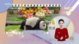 亚洲成av人片在www色猫咪