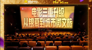 精品国产精品国产偷麻豆